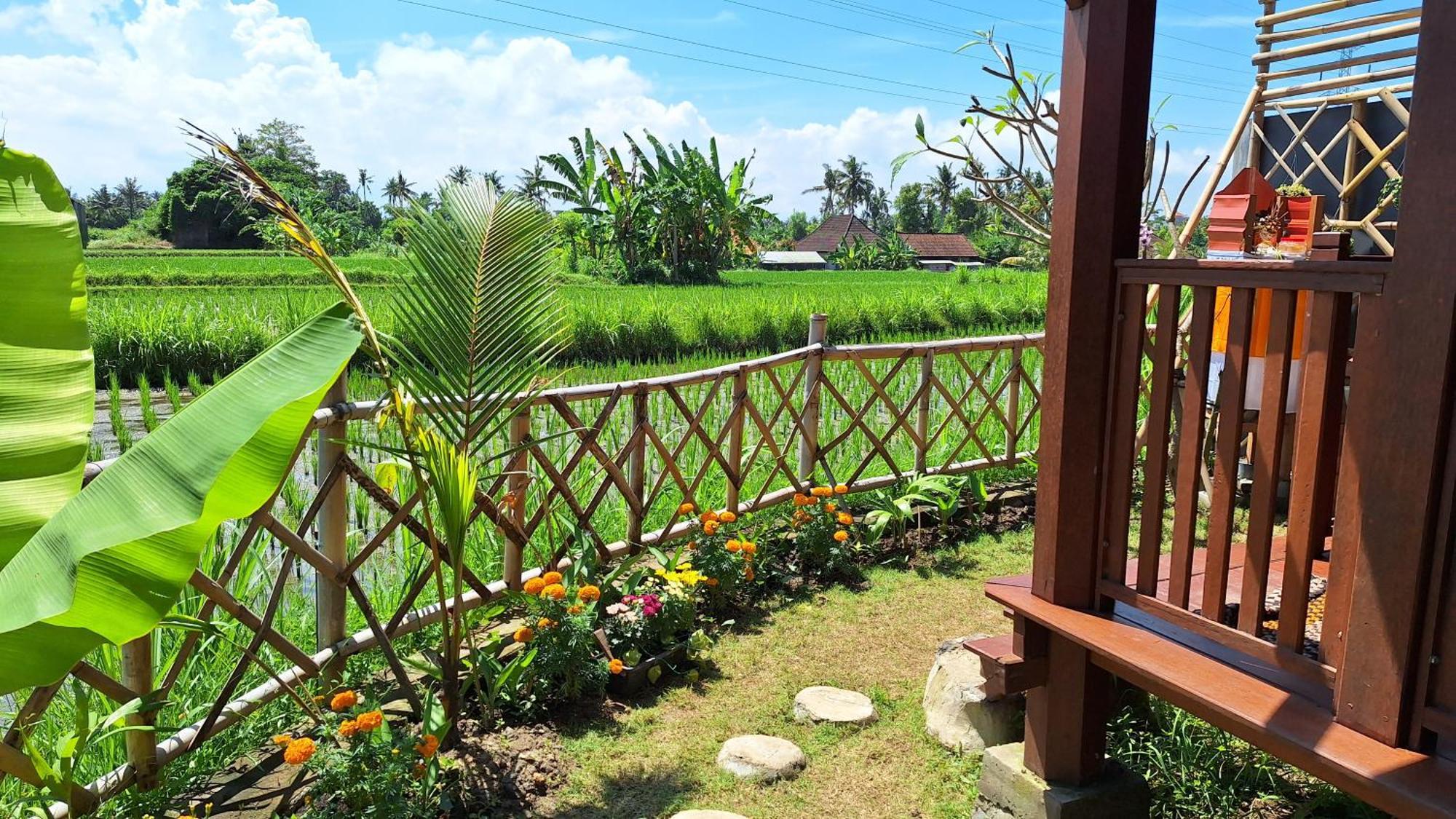 Pondok Zio Gianyar Gianyar  Luaran gambar